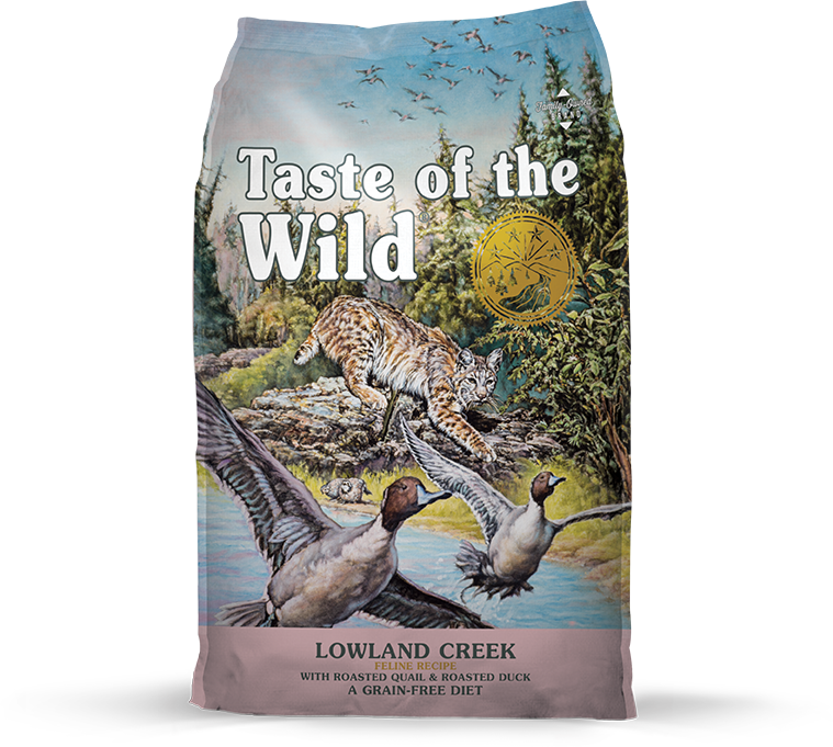 Wild taste cat food discount
