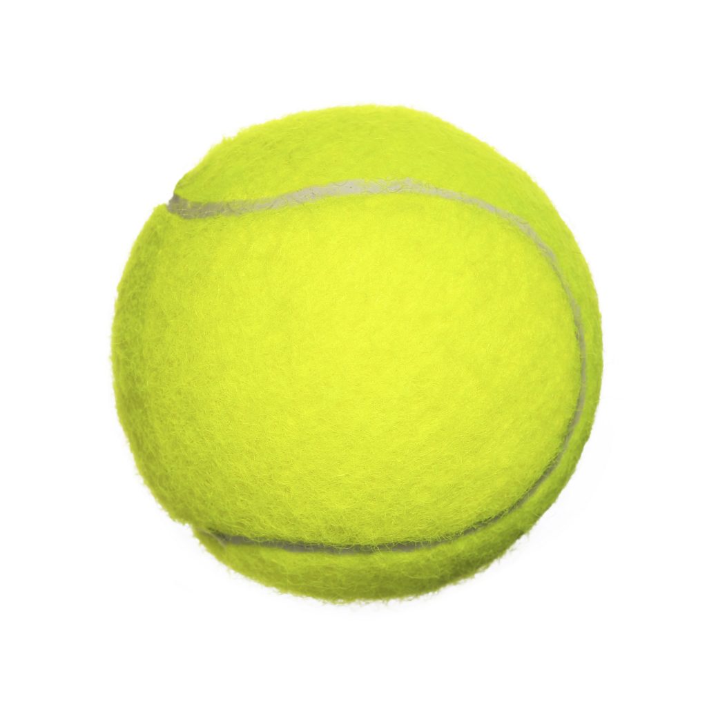 Petcrest - Squeaky Tennis Ball – Des Moines IA, West Des Moines IA,  Urbandale IA