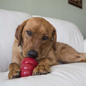 Kong - Snacks™ Peanut Butter