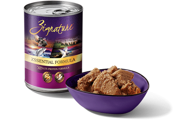 Zignature - Zssential - Canned 13-oz