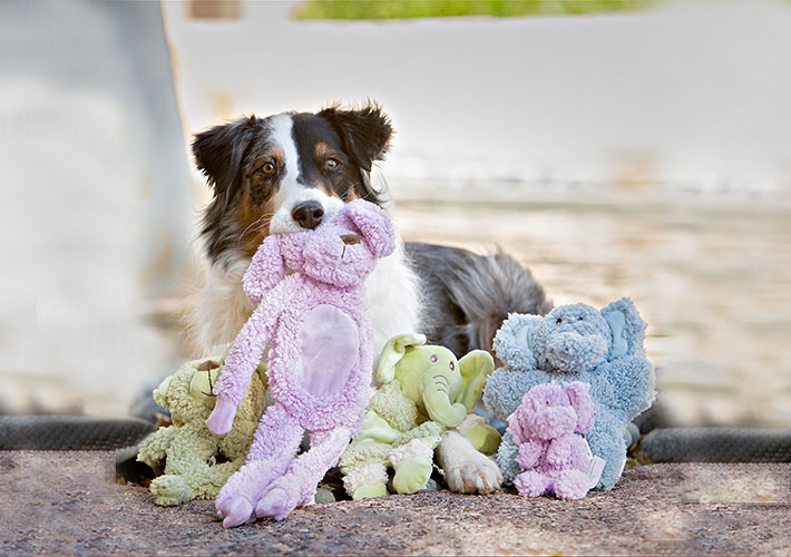 Multipet Aromadog Calming Dog Shaped Fleece Plush Assorted Dog Toy