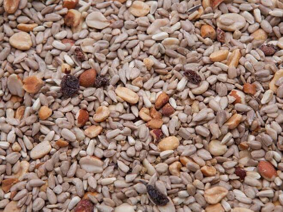 Des Moines Feed - Regal Blend Seed