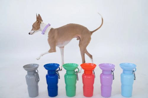 Springer - Classic Travel Bottle for Pets