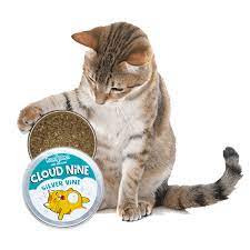 Dezi & Roo - Cloud Nine Silver Vine Pure Potent Powder for Cats