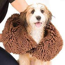 Dog Gone Smart - Dirty Dog Shammy
