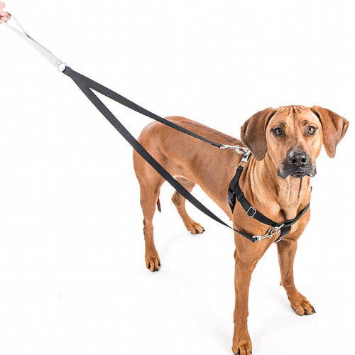 2 Hounds Design - Freedom No-Pull Dog Harness