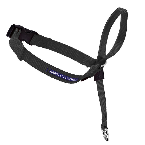 Gentle Leader Headcollar No Pull Dog Collar Altoona IA Des Moines IA Urbandale IA West Des Moines IA Bone a Patreat