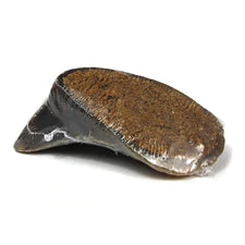 Tuesday's Natural Dog - Peanut Butter Filled Hooves Dog Treat