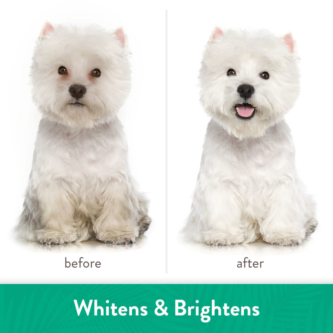 Tropiclean whitening deals dog shampoo