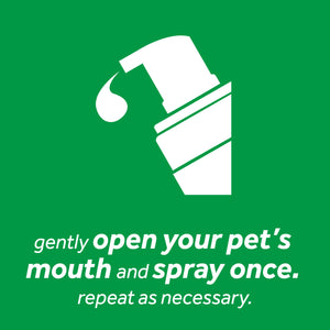 TropiClean - Oral Care Foam for Dogs