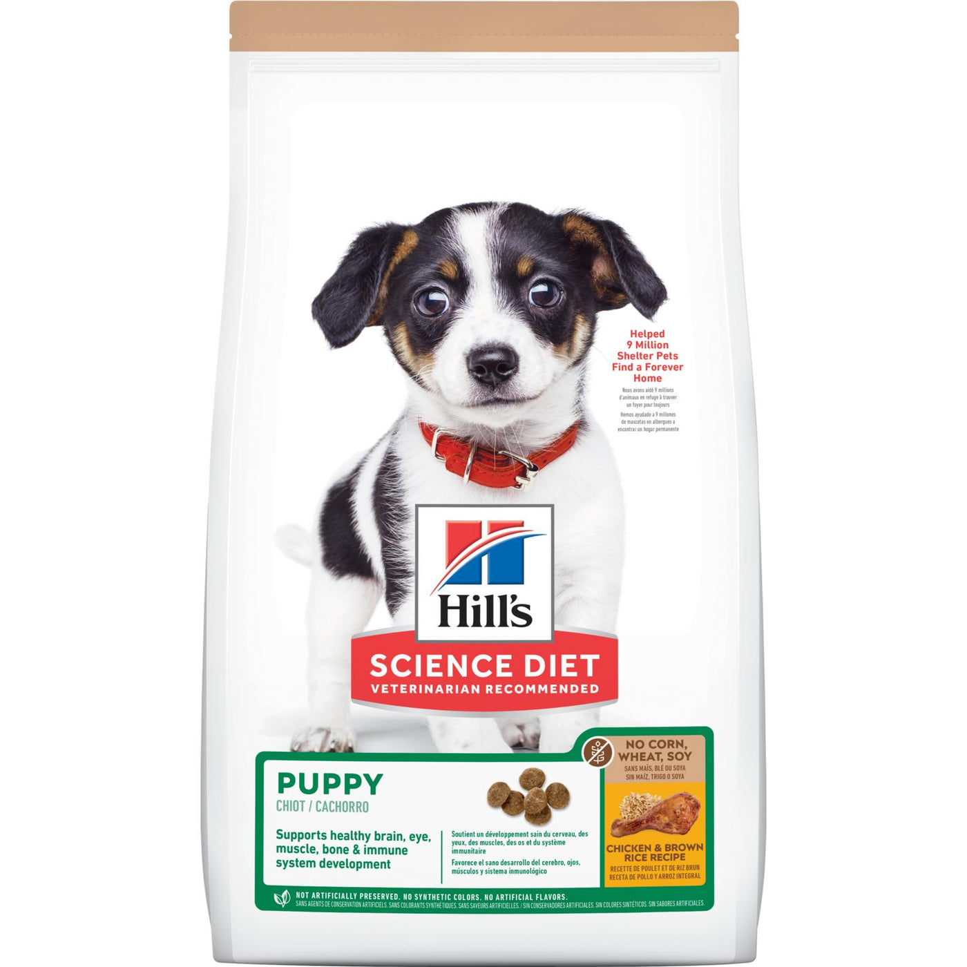 Diet top of puppy