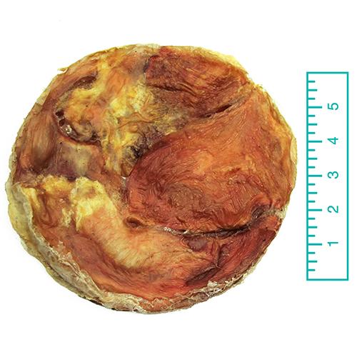 Tuesday's Natural Dog - Beef Bladder Disc Chews Dog Treat
