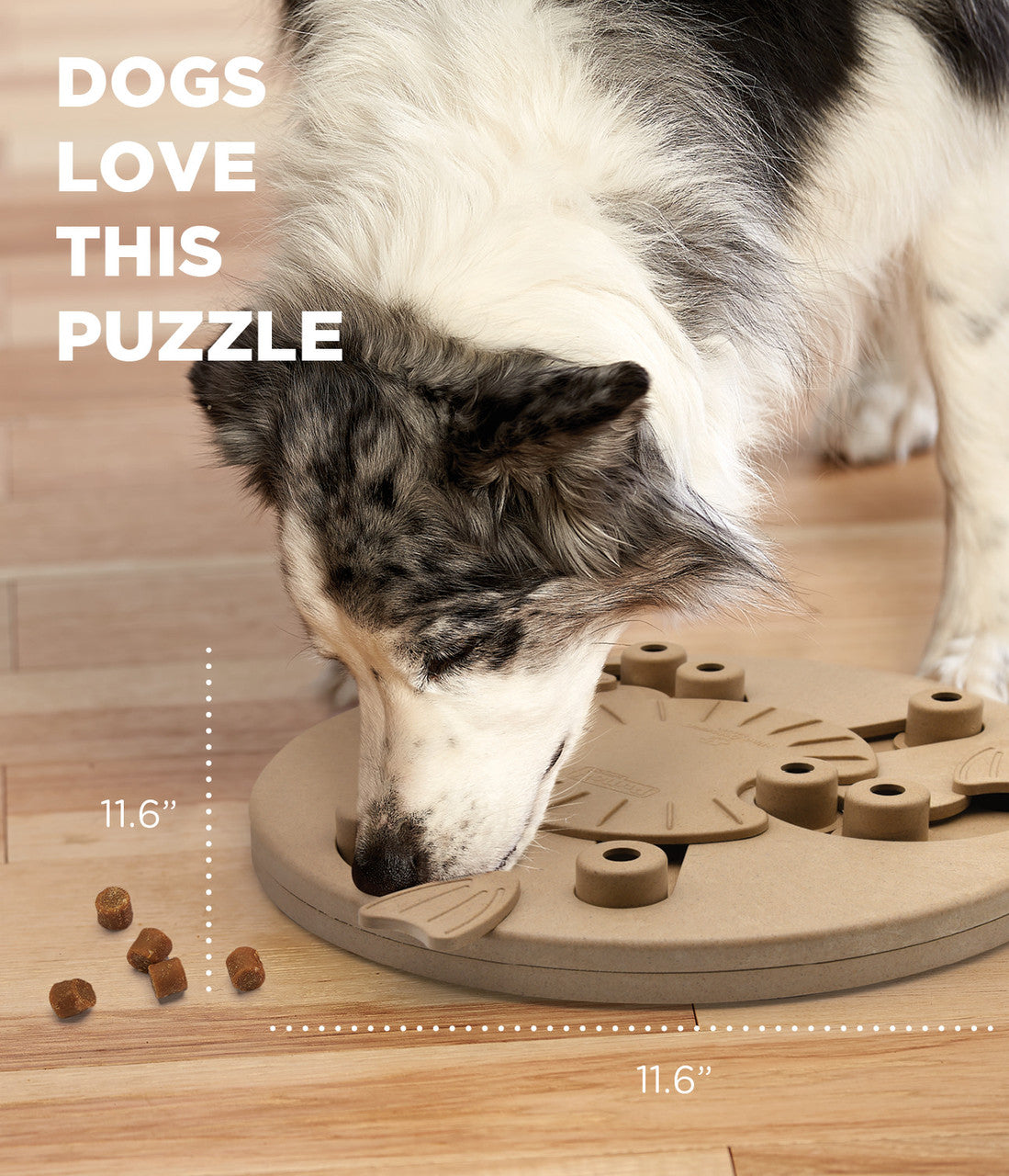 Nina Ottosson Story - Nina Ottosson Treat Puzzle Games for Dogs & Cats