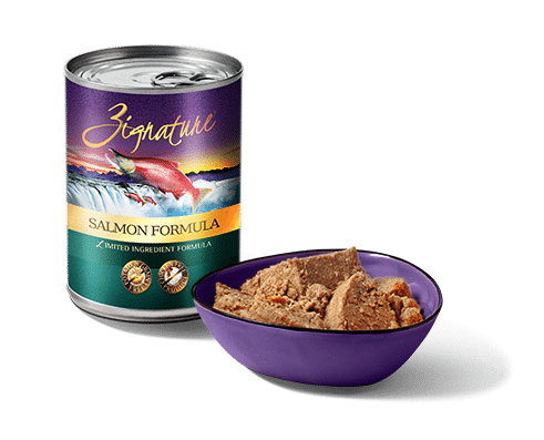Zignature - Salmon Formula Wet Dog Food